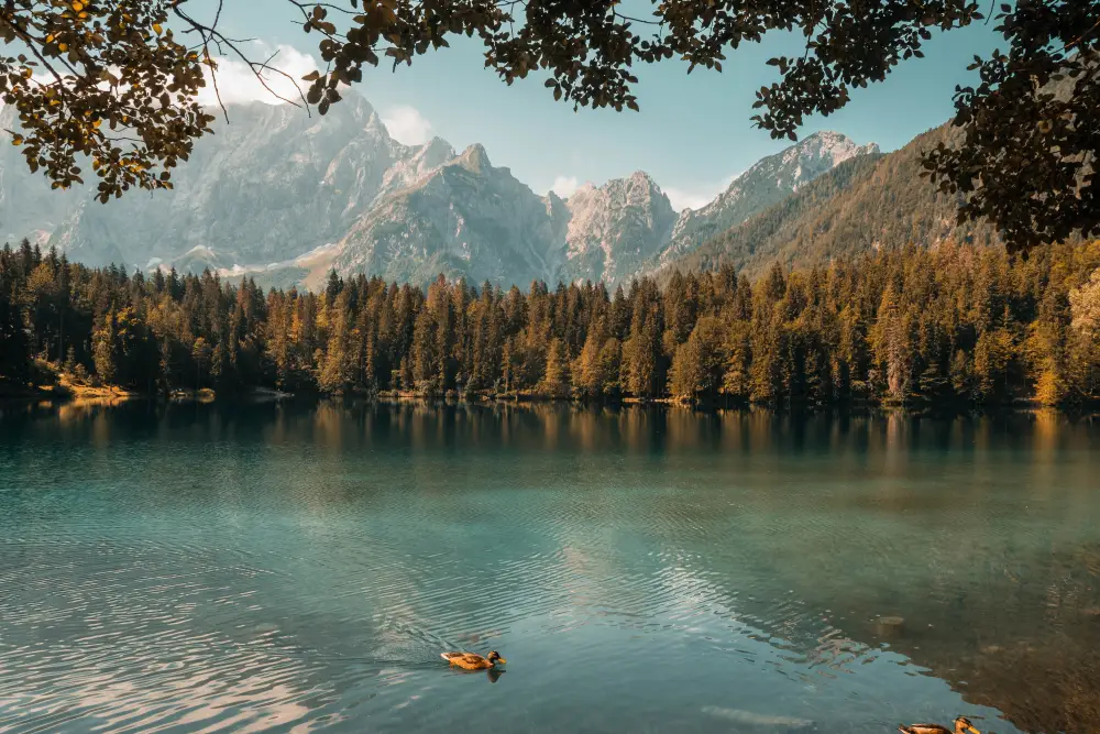 paysage de lac et montagnes