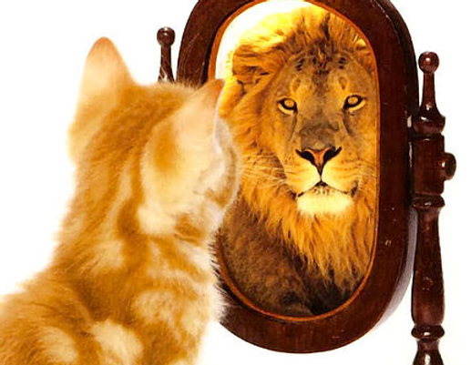 chaton qui se regarde dans le miroir et qui voit un lion